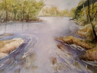 River Dart at Spitchwick
