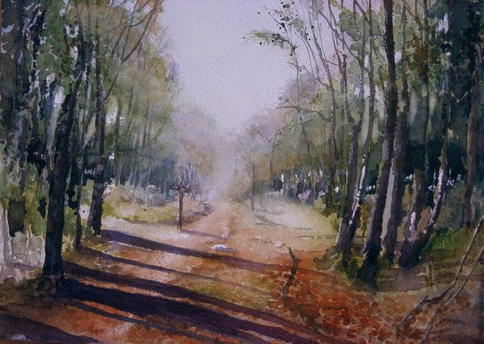 Dukeshouse Wood