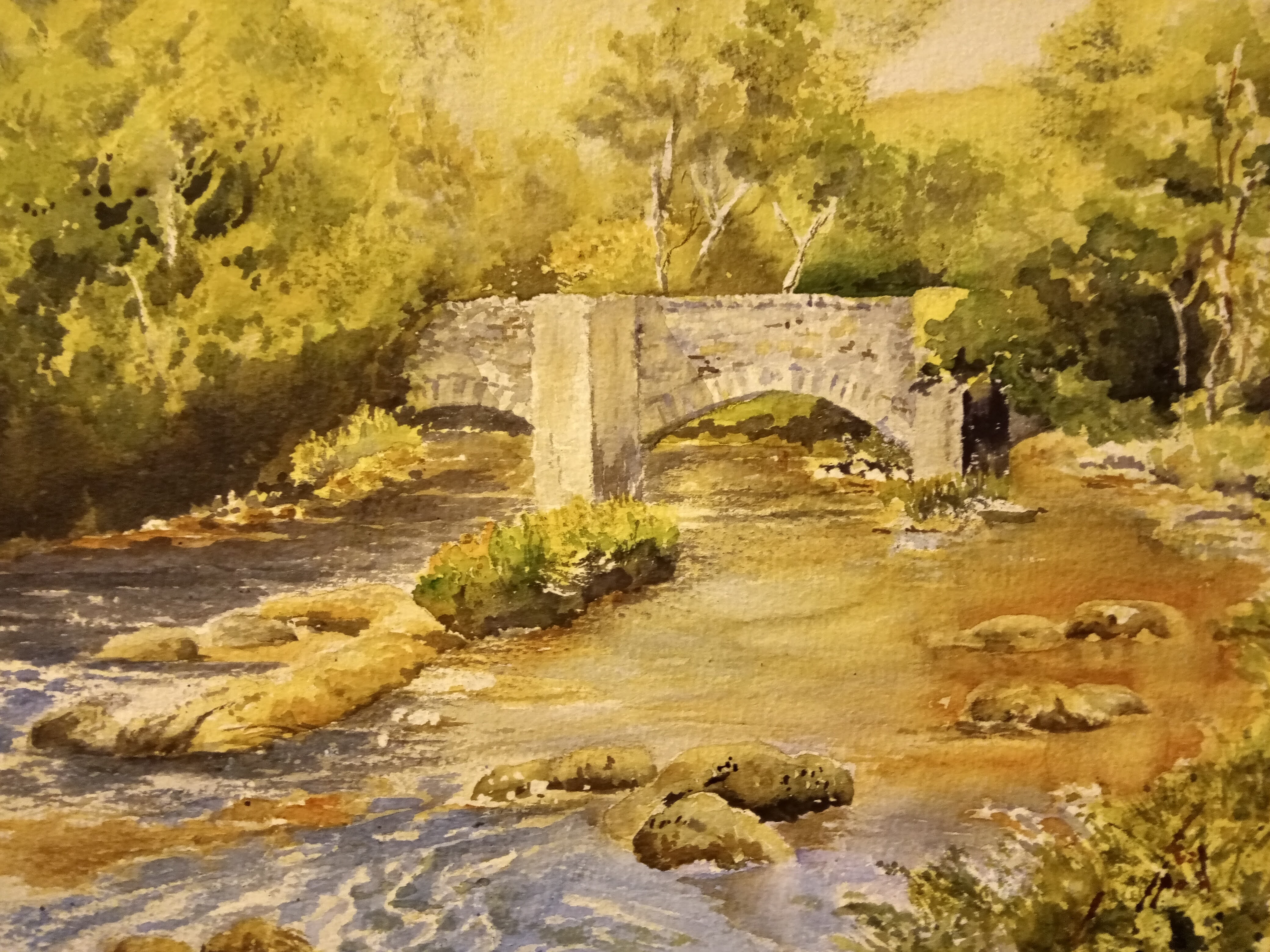 fingle bridge