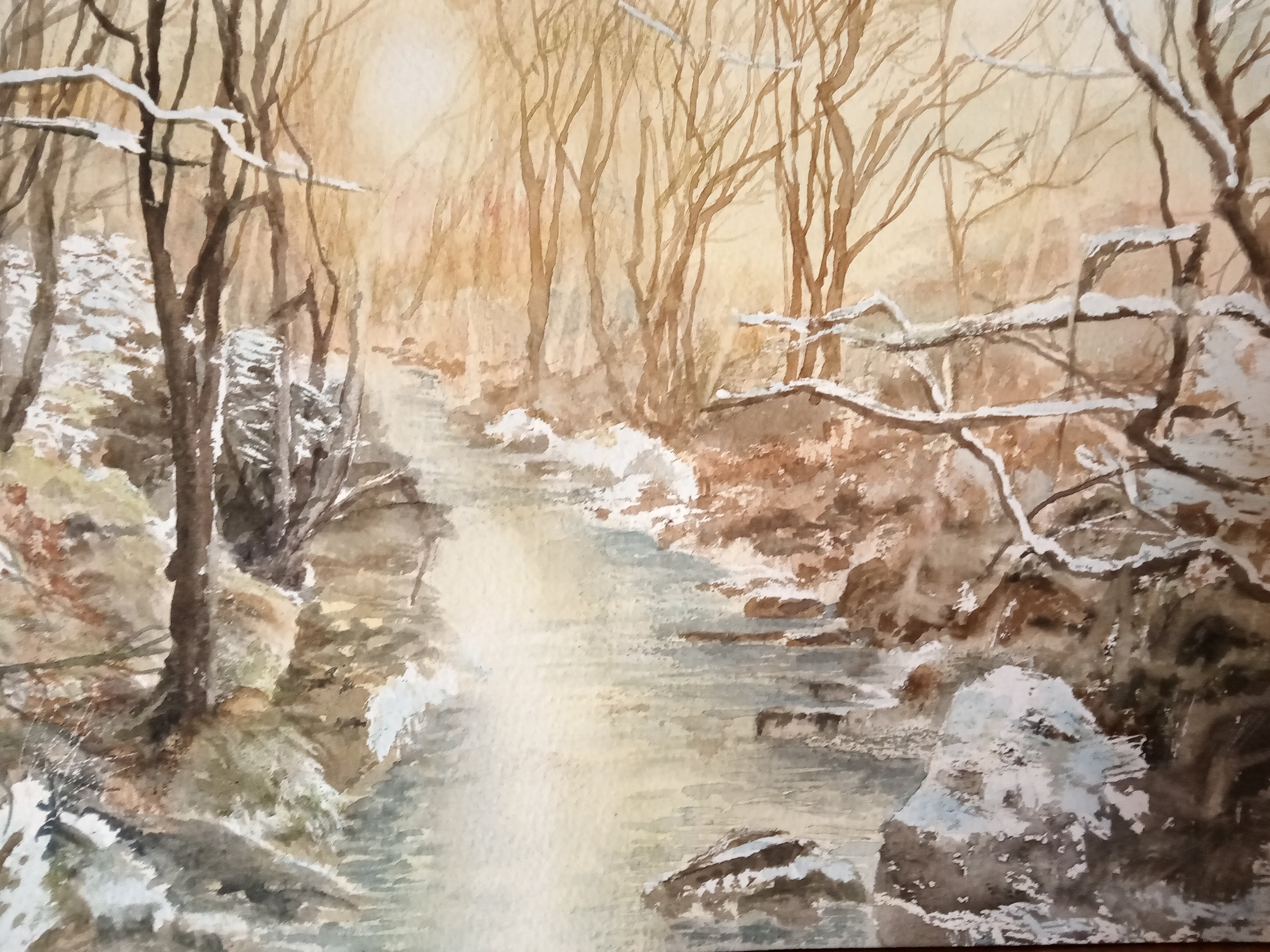 Wiinter Stream